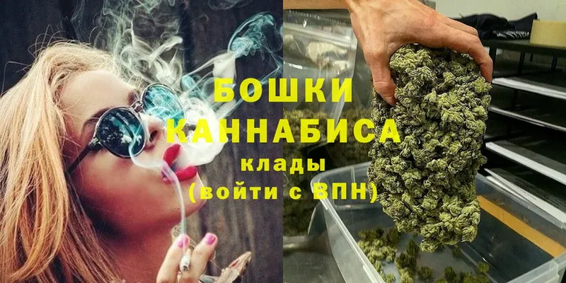 купить наркоту  Аркадак  Бошки Шишки OG Kush 